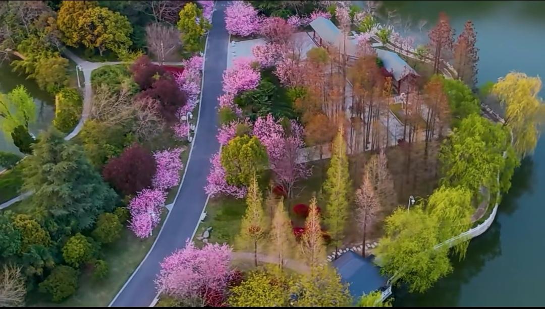 Screenshot_20220406_151549_com.tencent.mm_edit_91.jpg
